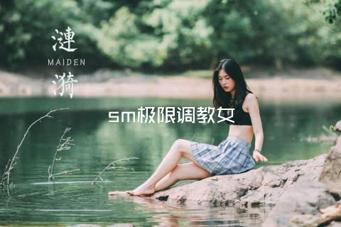 sm极限调教女